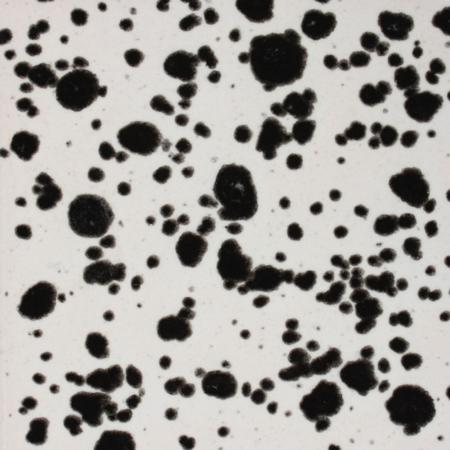 CG977 Ink Spots